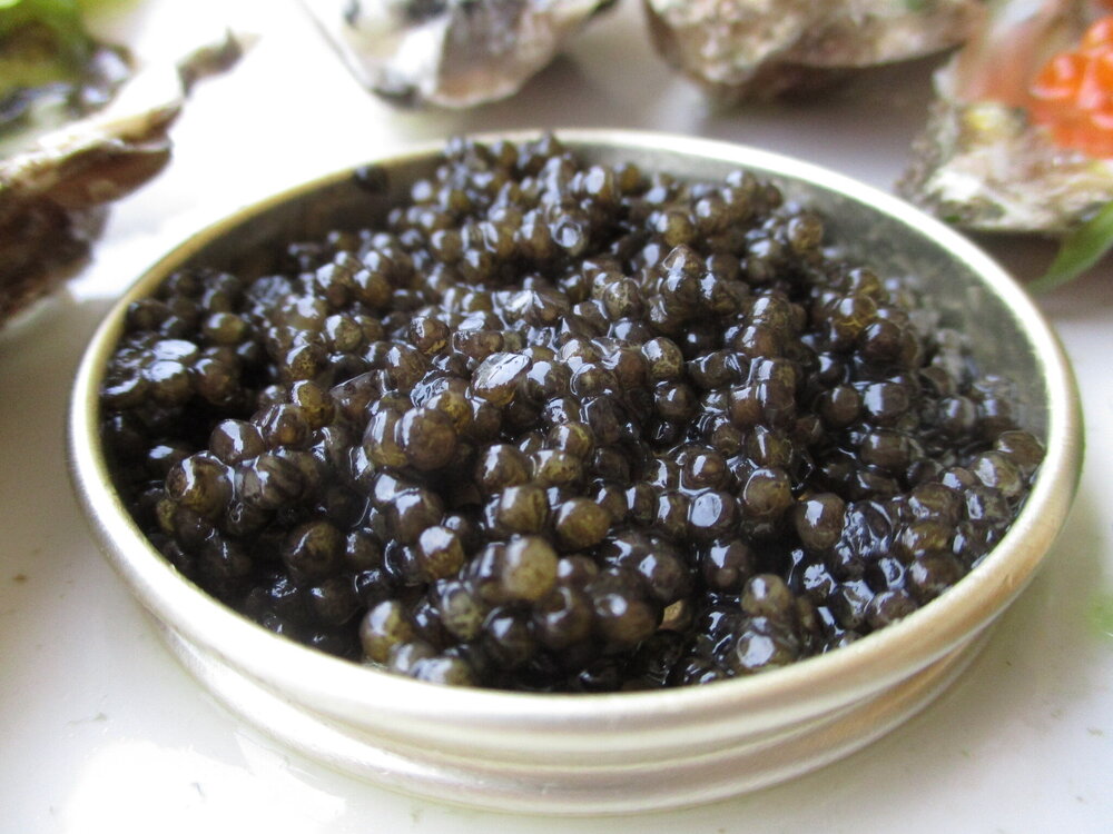 Caviar_002.thumb.jpg.c426594b7ff0cc29479e3c6a76572e96.jpg