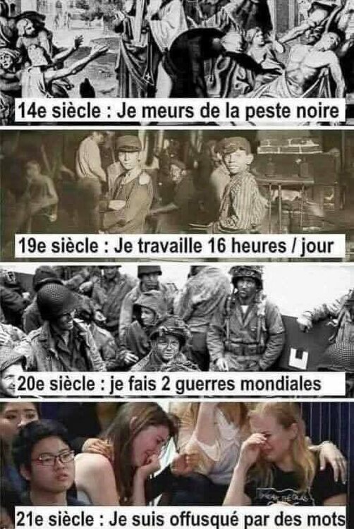FB_IMG_1763582570945.jpg